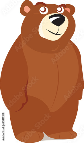 Bear