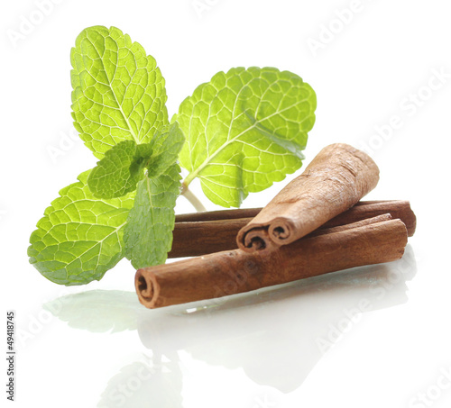 Mint with cinnamon isolated on white