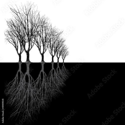 large bare tree without leaves - hand drawn