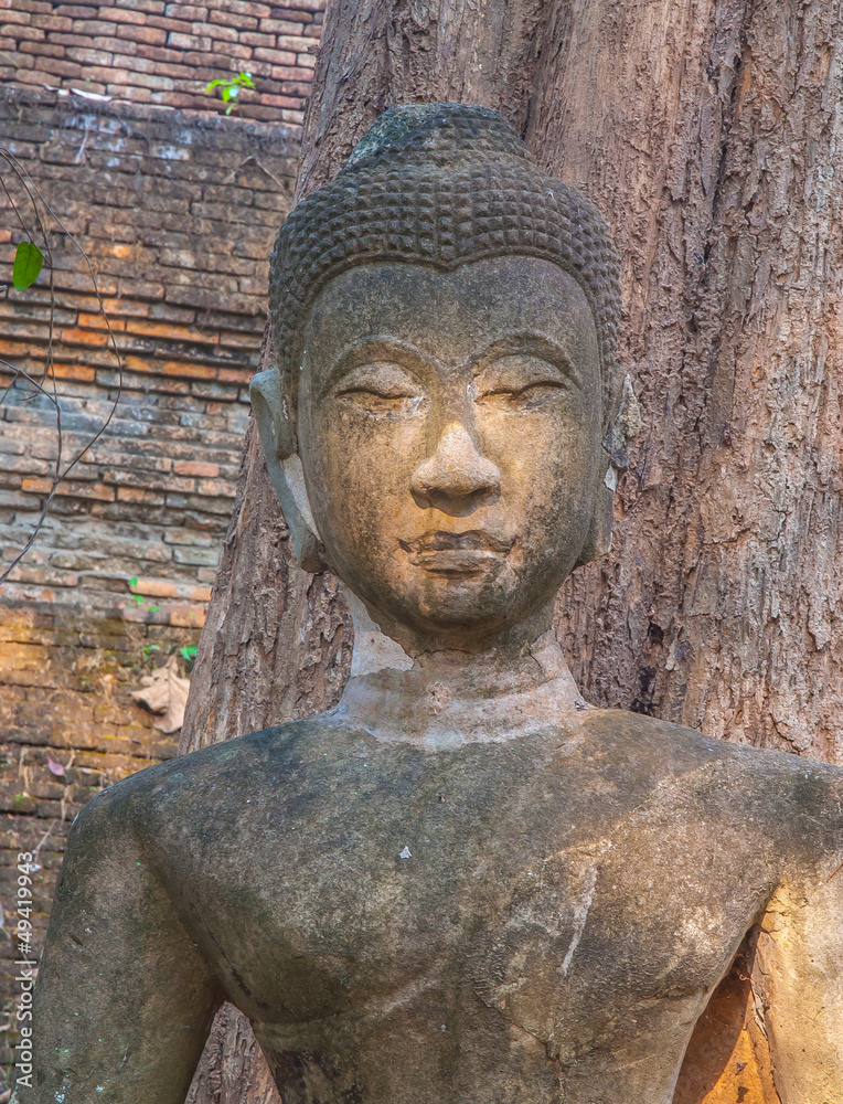 Head Buddha statue in Wat Umong