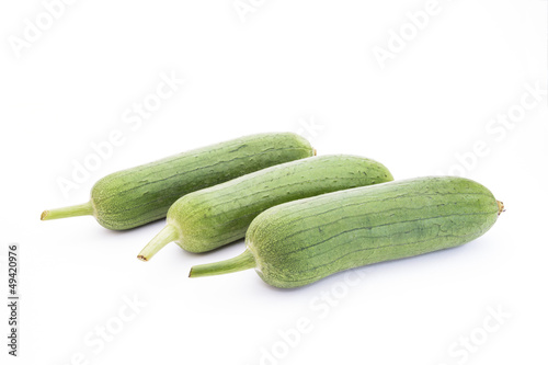 long loofah