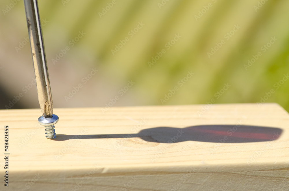 Screw and screwdriver in wood surface Screw and screwdriver in wood surface