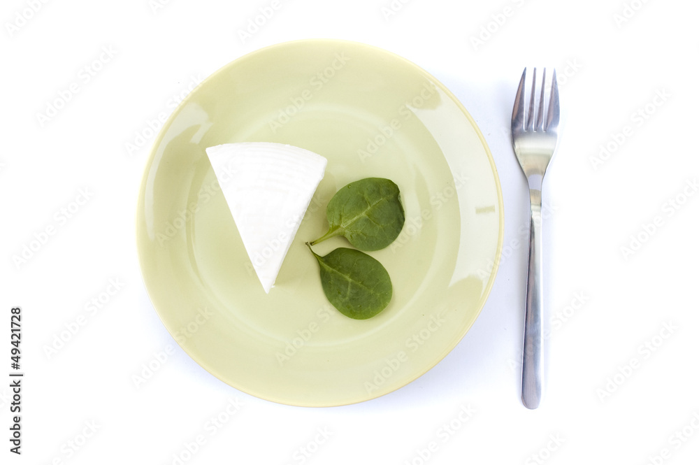 cheese and spinach on a green plate cheese and spinach on a green plate