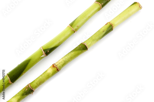 2 branches of bamboo