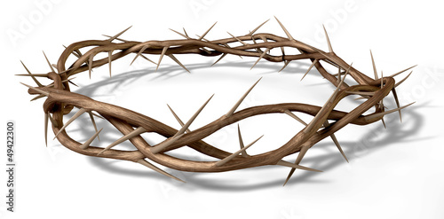 Fototapet A Crown Of Thorns