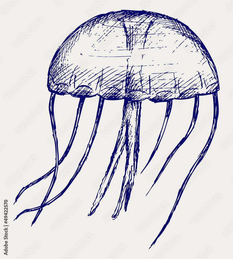 Naklejka premium Jellyfish. Doodle style