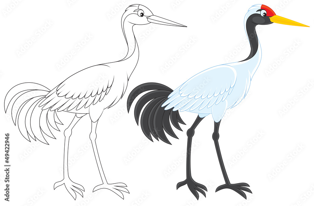 Fototapeta premium Crane