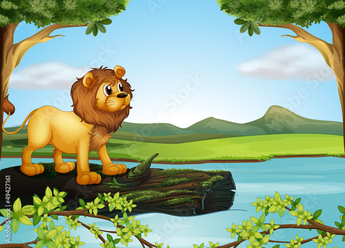 A lion above a trunk with algae