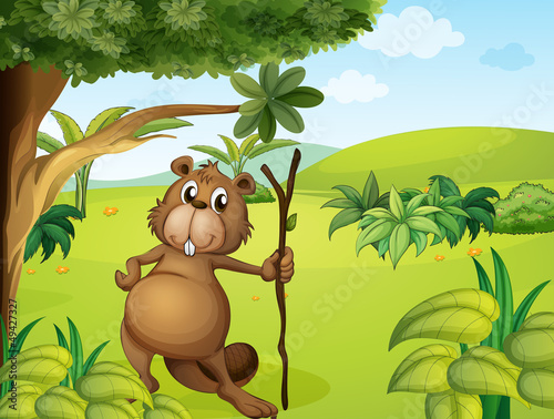 A beaver in the hills