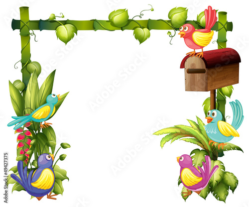 The five colorful birds