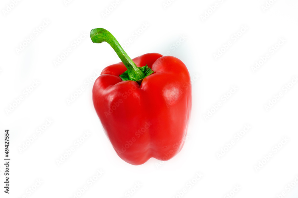 Rote Paprika Rote Paprika