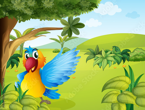 A colorful parrot in the forest