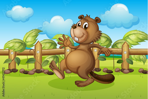 A beaver running inside a fence