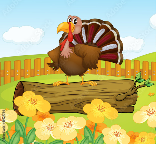 A turkey above a trunk inside the fence