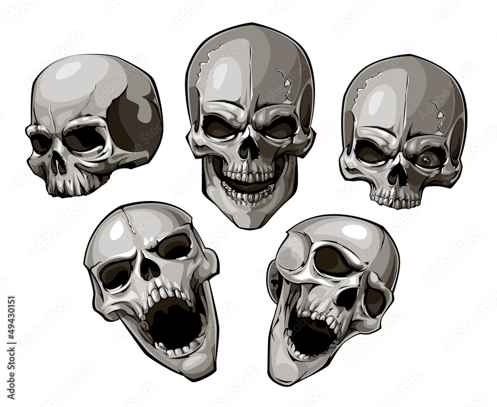 Set of skulls