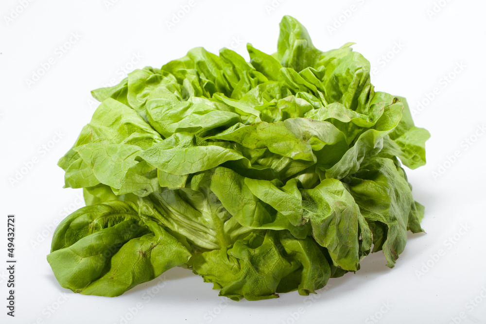Fresh green Lettuce salad isolated on white background Fresh green Lettuce salad isolated on white background