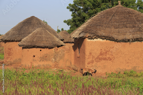 Mud huts and goat