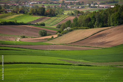 Spring green fields