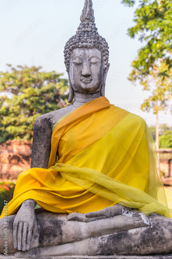 Buddha Buddha