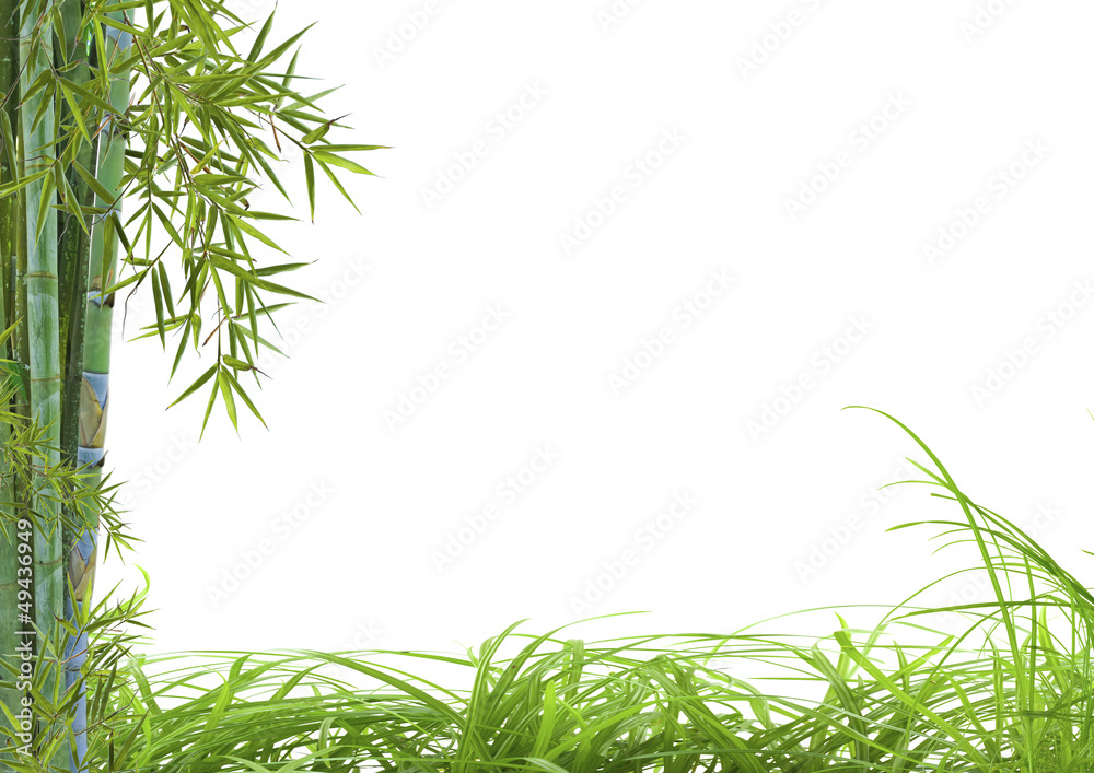 Obraz premium décor asiatique détente bambou herbes