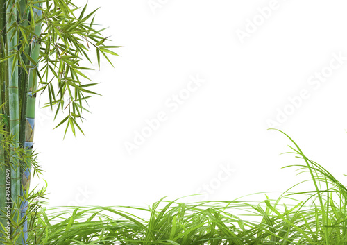 Fototapeta Naklejka Na Ścianę i Meble -  décor asiatique détente bambou herbes