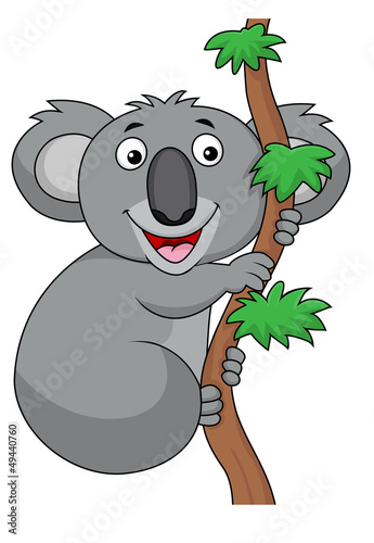 Koala cartoon photo