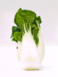 Fresh baby bok choy, Brassica rapa chinensis,  isolated on white