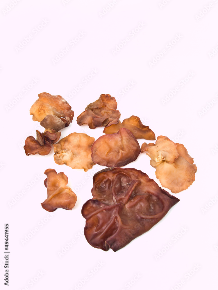 Auricularia auricula isolated on whith background Auricularia auricula isolated on whith background