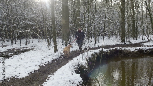 Woman is walking with the dogs