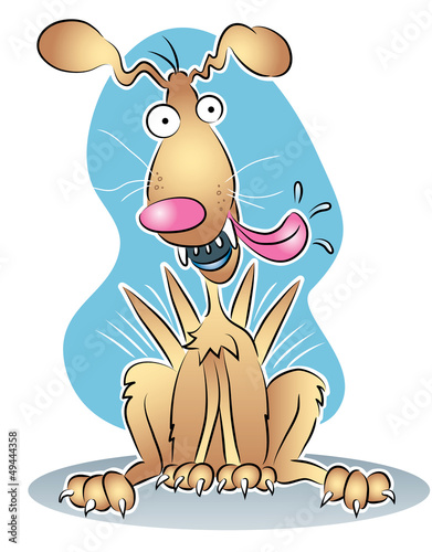 Happy Dog