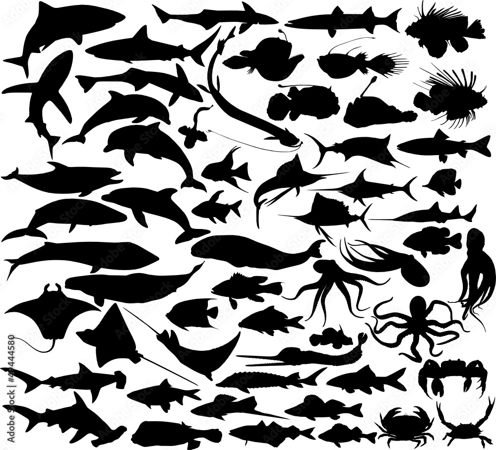 Obraz premium Set of silhouettes of fishes