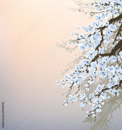 Vector background. Blossoming branches of an old tree
