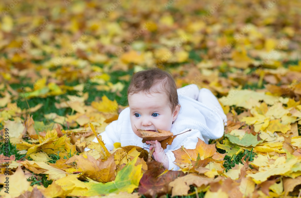 Sweet baby girl playing with yellow maple leaves Sweet baby girl playing with yellow maple leaves