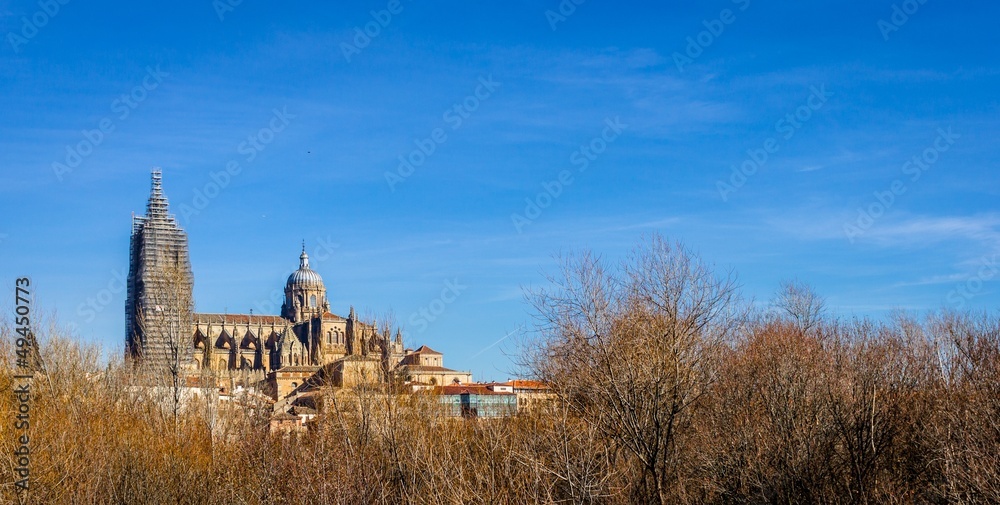 Panoramic of Salamanca cathedral behind orange trees