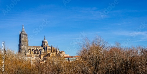 Panoramic of Salamanca cathedral behind orange trees