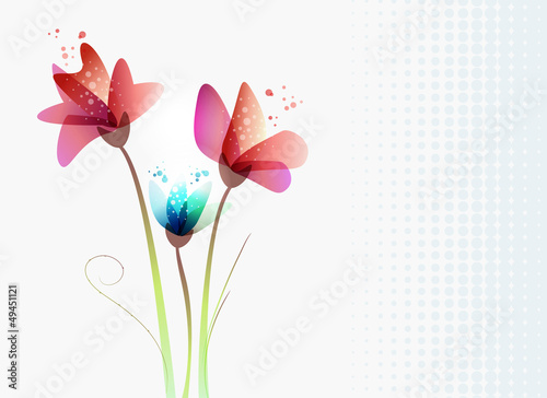 Fresh transparency flowers photo