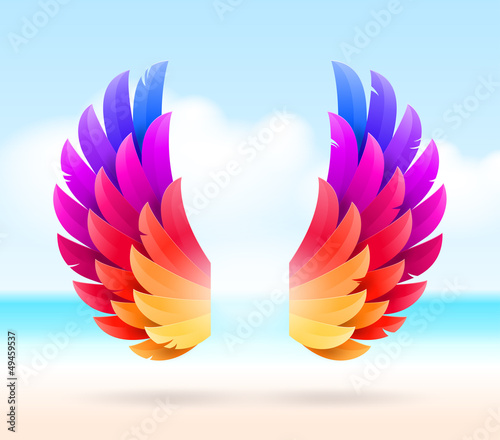Colorful wings on a tropical sea shore