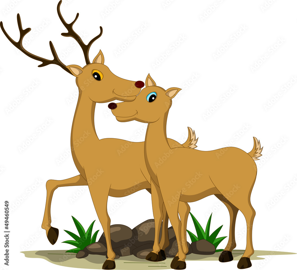 Fototapeta premium cute couple deer cartoon