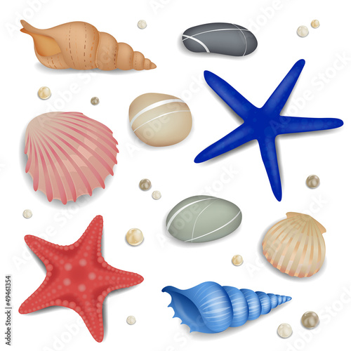 Vector Set of Seashells, Starfishes and Pebbles