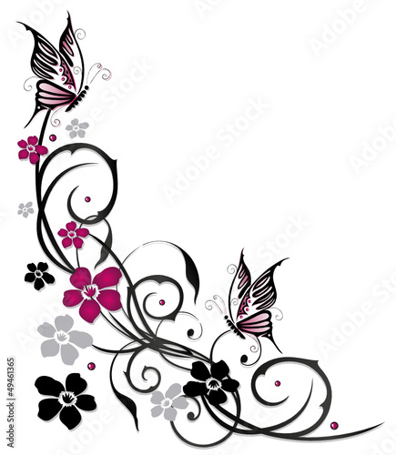 Ranke, flora, Blüten, Schmetterlinge, schwarz, pink #49461365