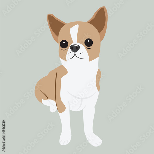 Illustration of cute puppy with big black eyes