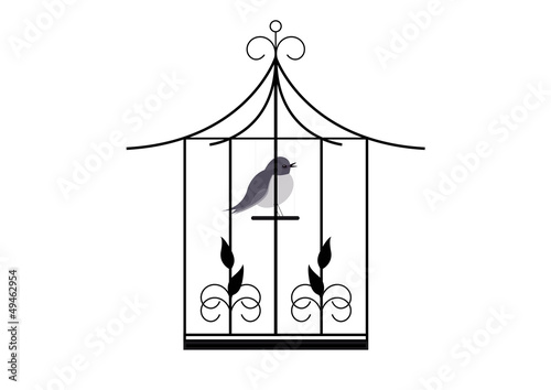 Cage oiseau -