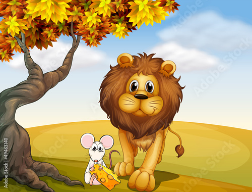 A lion and a mouse