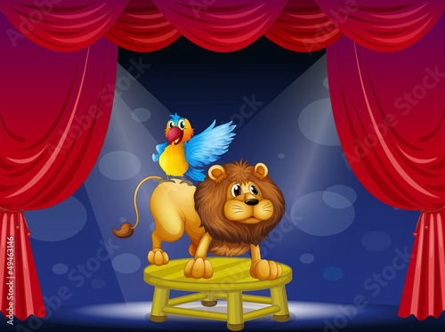 A circus showing the lion and the parrot