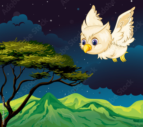 An owl flying