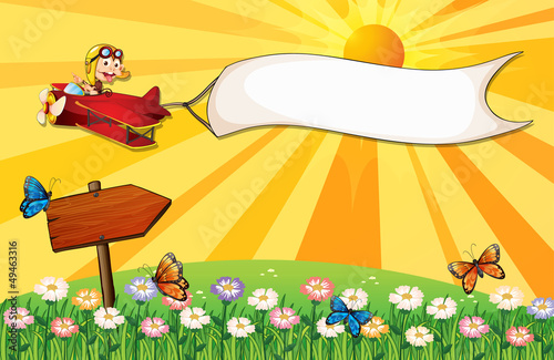 A monkey on a plane with a banner and a signboard in the garden