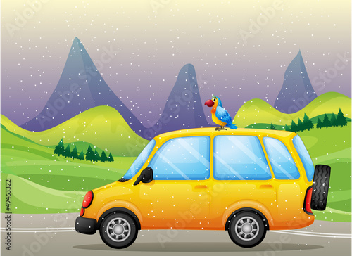 A car with a parrot