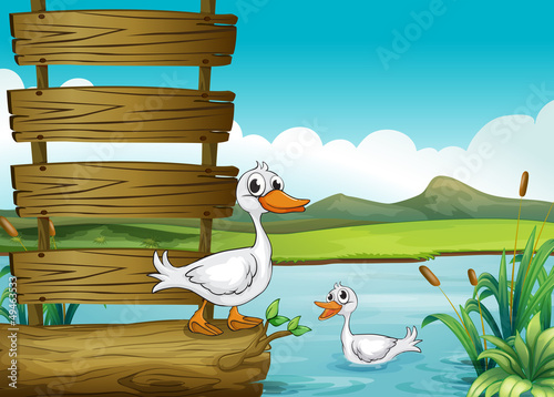 An empty signboard with ducks