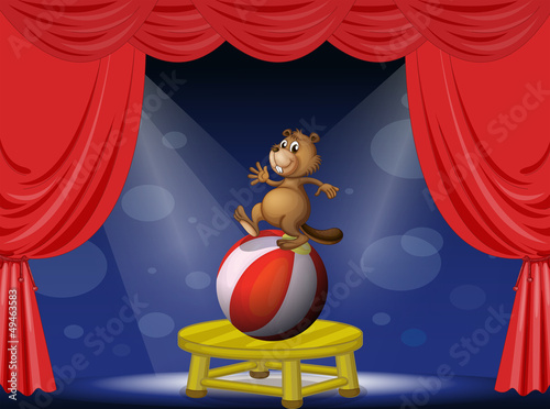 A beaver balancing with a ball