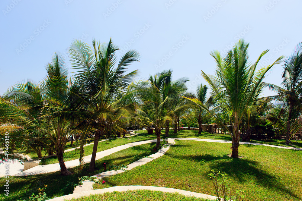 Fototapeta premium image of a luxurious resort in kenya africa